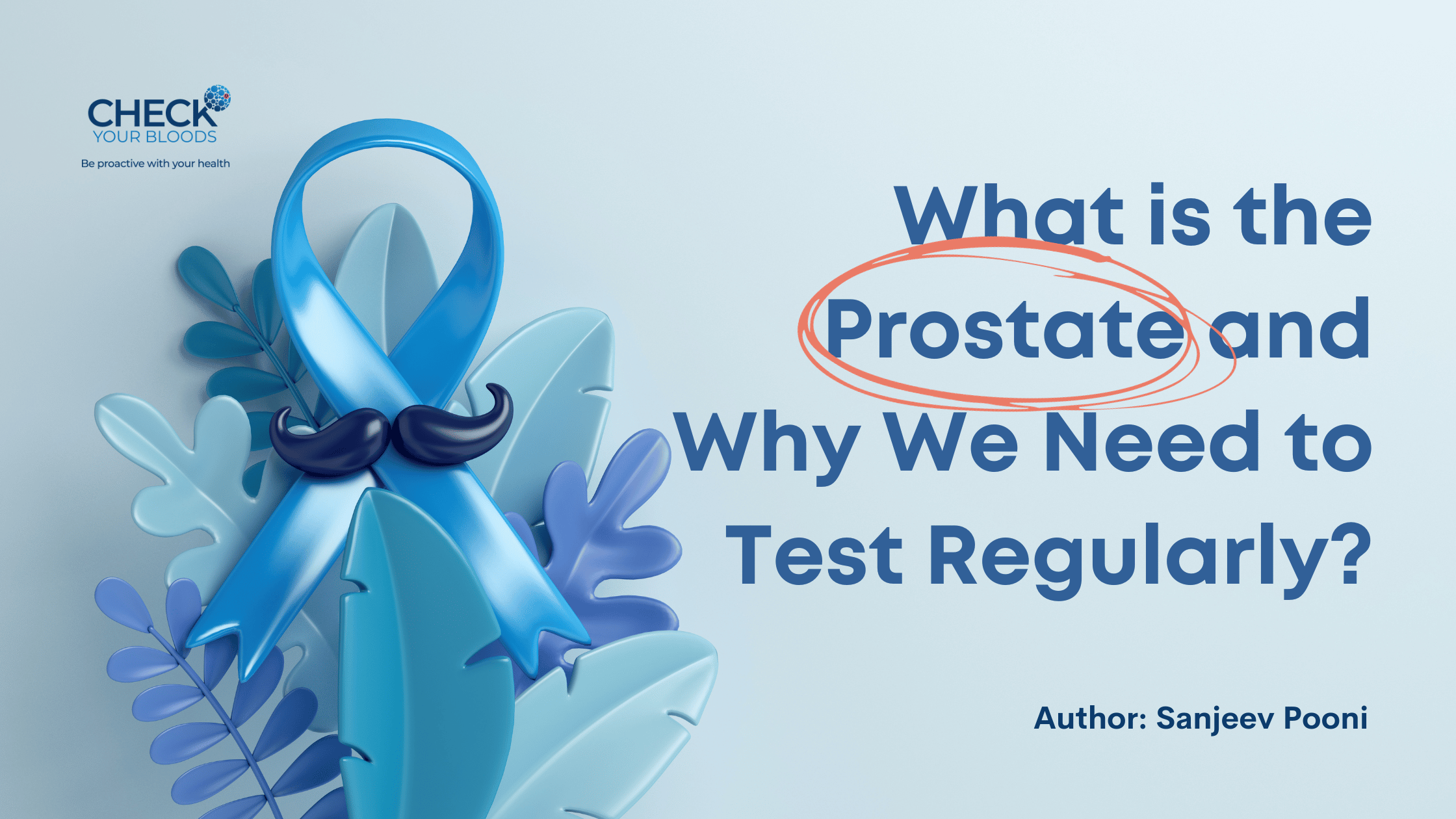 What is the Prostate and Why We Need to Test Regularly